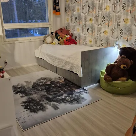 Local-style Rovaniemi